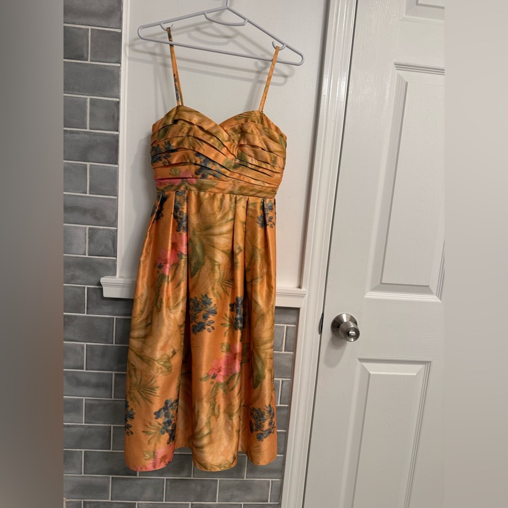 Anthropologie (James Coviello) WORN ONCE Floral A-Line Dress